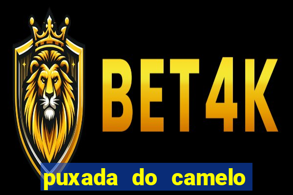 puxada do camelo jogo do bicho