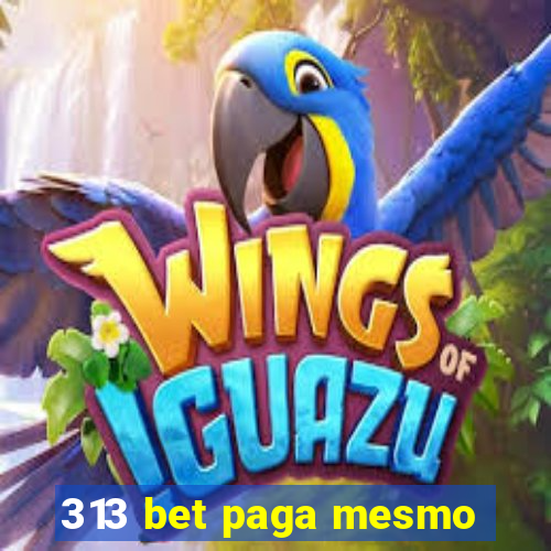 313 bet paga mesmo