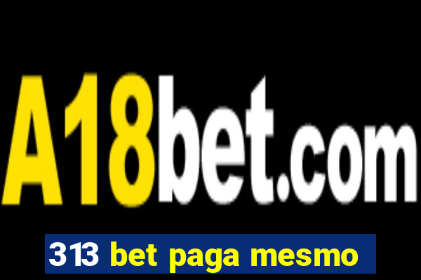 313 bet paga mesmo