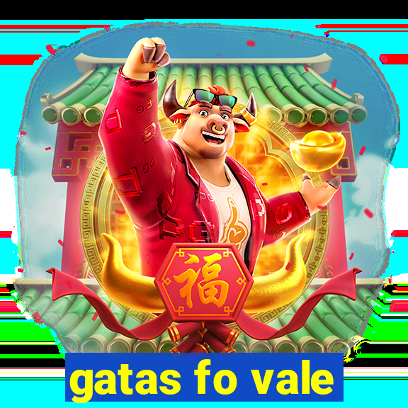 gatas fo vale