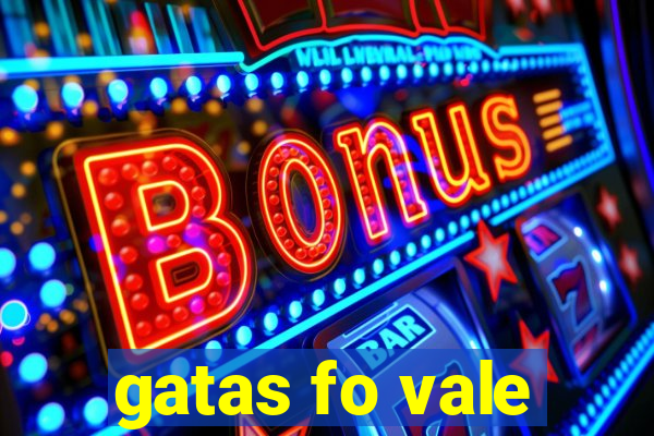 gatas fo vale