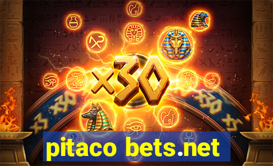 pitaco bets.net