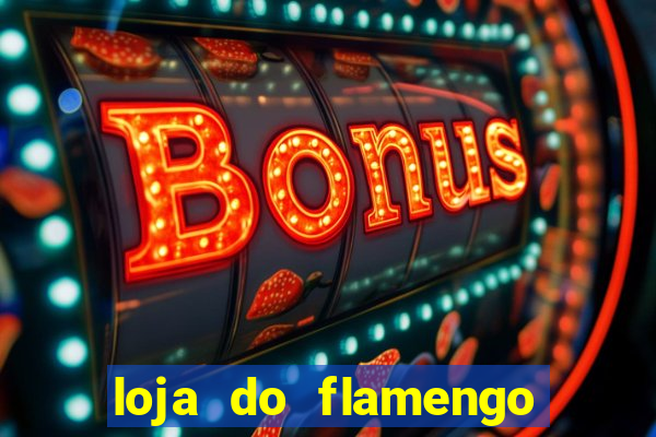 loja do flamengo taguatinga shopping