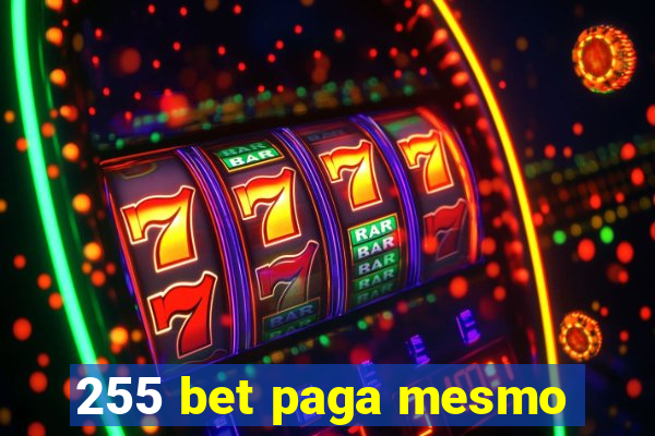 255 bet paga mesmo