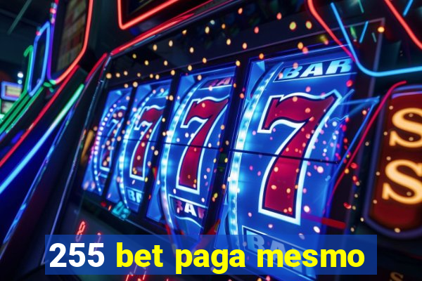 255 bet paga mesmo