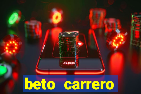 beto carrero cidades proximas