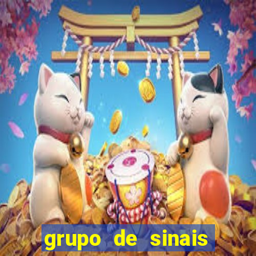 grupo de sinais trader telegram