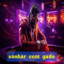 sonhar com gado jogo do bicho