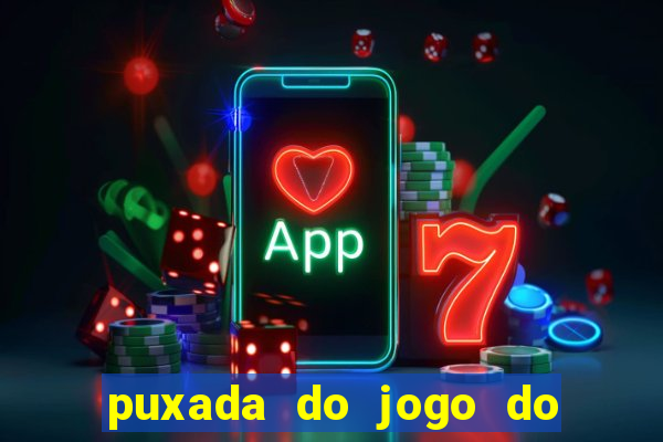 puxada do jogo do bicho da sueli