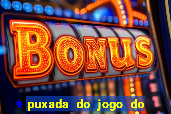 puxada do jogo do bicho da sueli