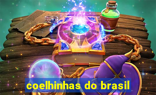 coelhinhas do brasil