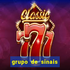 grupo de sinais fortune rabbit