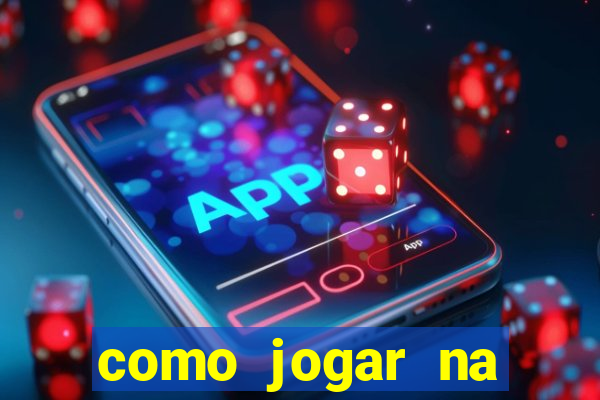 como jogar na lotinha do jogo do bicho