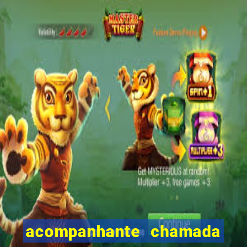 acompanhante chamada de video