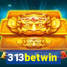 313betwin