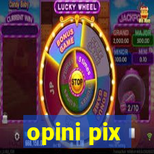 opini pix