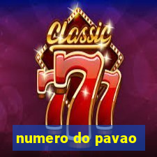 numero do pavao