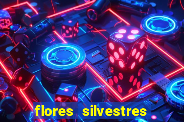 flores silvestres desbravadores desbravadores 25 flores silvestres e seus nomes