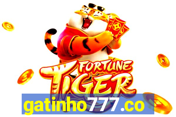 gatinho777.co