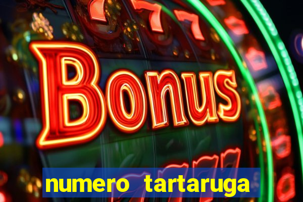 numero tartaruga jogo do bicho