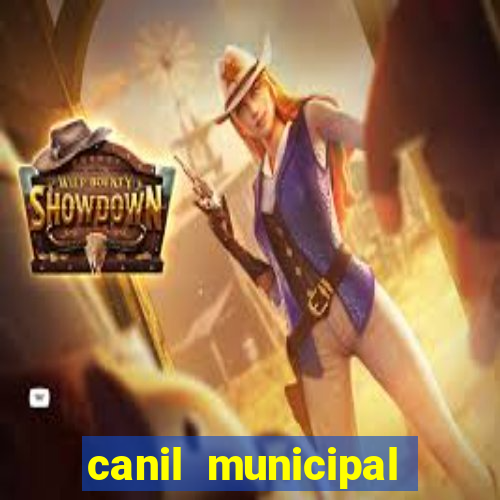 canil municipal porto alegre