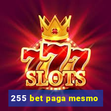 255 bet paga mesmo