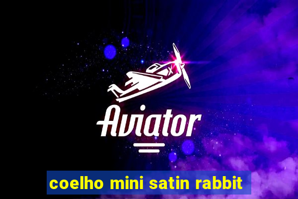 coelho mini satin rabbit