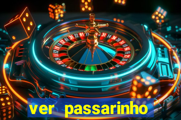 ver passarinho morto significado espiritual